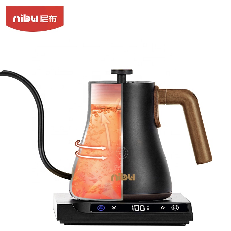 Elektrische waterkoker van roe - Electric Kettle Temperature Control recensie en prijs
